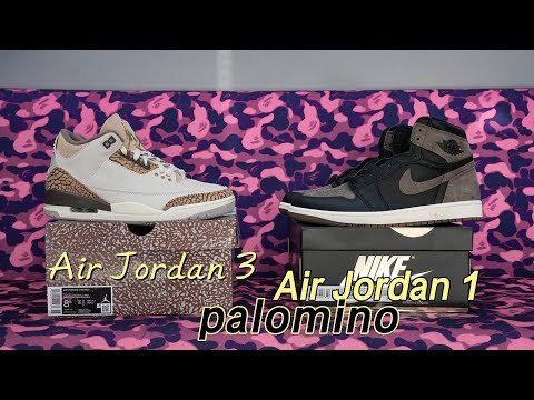 Air Jordan 3 Retro Palomino GS（A1）